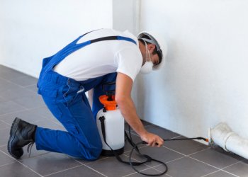 Soğuk Havalarda Neden Hamam Böceği İlaçlama Yaptırmalıyız?